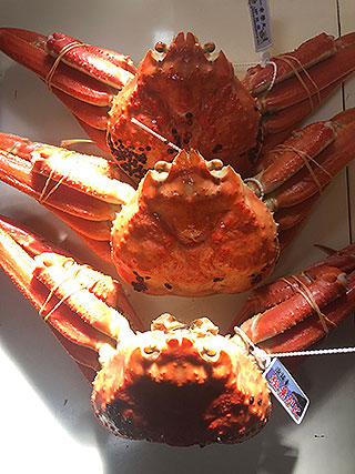 京都・日本海の蟹