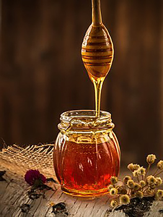 京都市の蜂蜜
